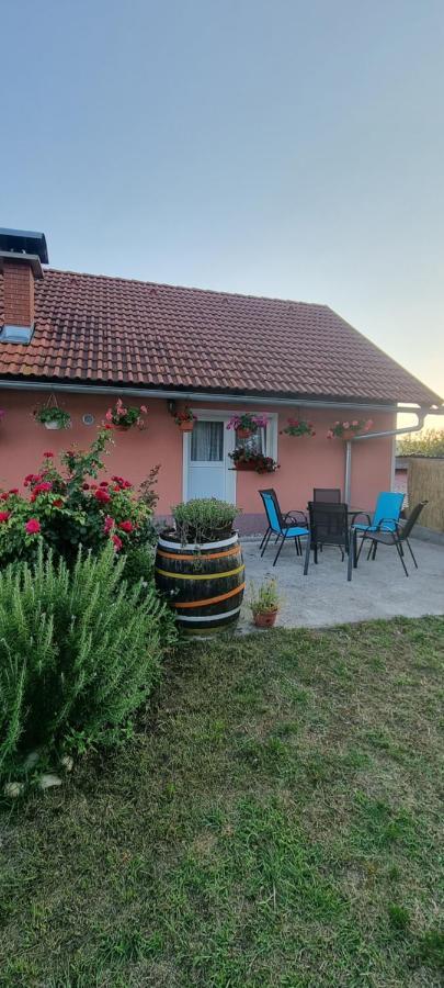 Appartamento Kod Slaveka Kostanjevac Esterno foto