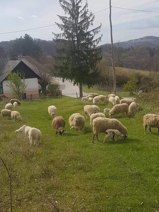Appartamento Kod Slaveka Kostanjevac Esterno foto