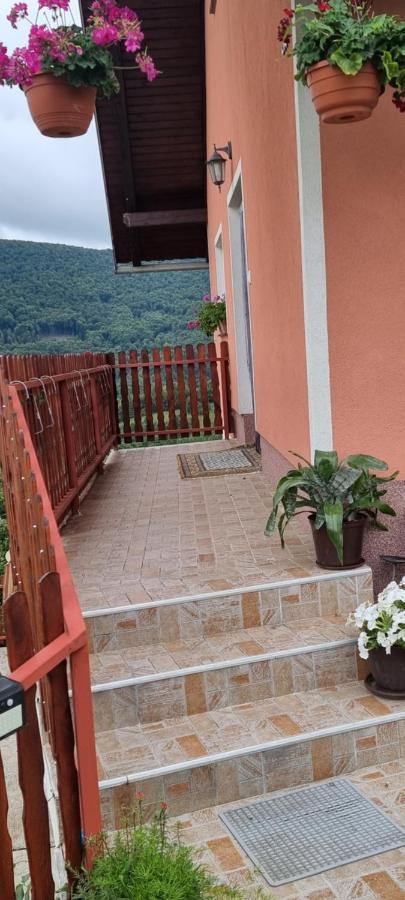 Appartamento Kod Slaveka Kostanjevac Esterno foto